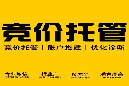 SEM主管的日常工作：从策划到执行的完整案例